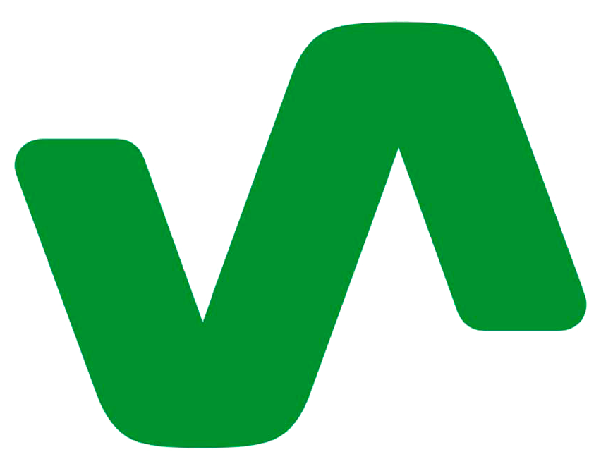 logo-vinaixa-transp